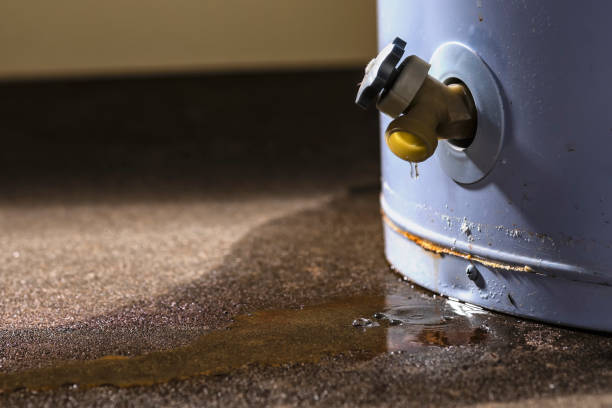Best Emergency water extraction  in Sto Brook, NY