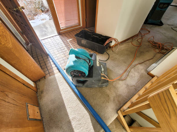  Sto Brook, NY Water damage restoration Pros