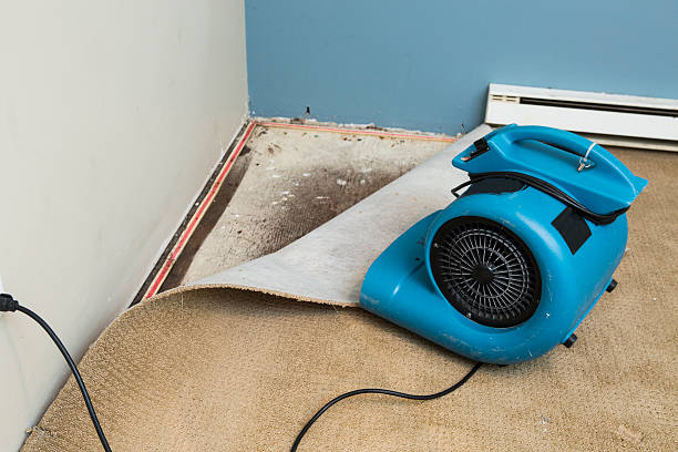 Best 24/7 water damage repair  in Sto Brook, NY